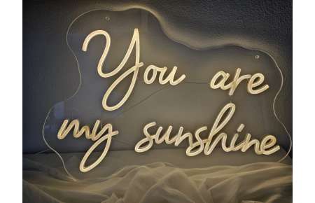 Neonový svíticí nápis You are my sunshine