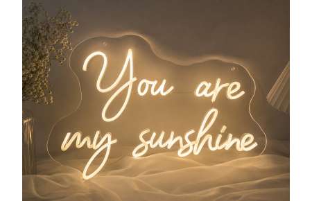 Neonový svíticí nápis You are my sunshine