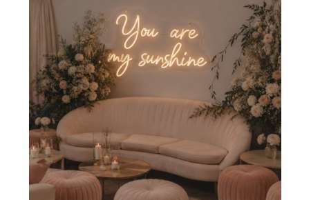 Neonový svíticí nápis You are my sunshine